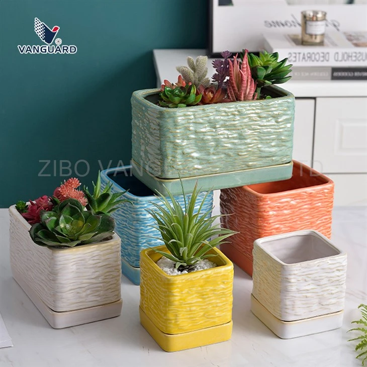Square Succulent Flower Pot Square Succulent Flower Pot